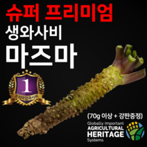 슈퍼 프리미엄 와사비의 원조 시즈오카 마즈마 생와사비 50g이상(강판증정), 50g, 1개