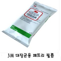 3M 대장균용 페트리 필름 2팩