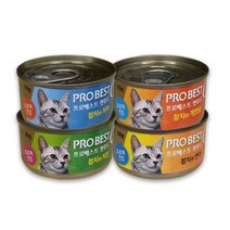 프로베스트 캣푸드 고양이 간식캔, 참치 + 연어 혼합맛, 40개