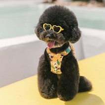 강아지 고양이 선글라스 안경 도글라스, Option.2레고하트(레드)