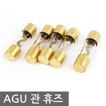 금도금 AGU 유리관 휴즈 퓨즈 카오디오 앰프 엠프, AG004. 용량 100A