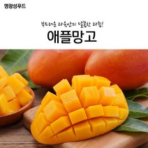 명광성푸드 부드러운 과육안에 달콤한 과즙 애플망고, 5kg_선택안함, 본상품선택