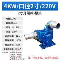슬러지펌프 지하실 축사 배수용 정화조 수중 양수기 오물 장마 농장, 01.2인치펌프헤드업그레이드-내부담금질휠