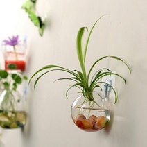 교실 정원 꾸미기 식물 집사 필수템 테라리움 벽걸이 화분 글래스 볼 꽃병 벽 투명 유리 물고기 탱크 수족관 컨테이너 홈 거실 장식, [01] 15 cm