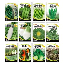 오이씨앗 아삭한 주렁주렁 미니 청스낵오이 노각 백다다기 종자 씨앗몰 봄 재배 키우기 심기 텃밭가꾸기 웰빙 쌈채소 궁채나물 줄기상추 씨앗, 우슬 500립