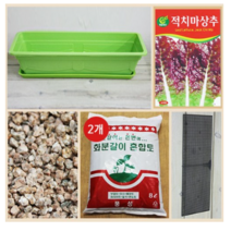 행복한세상 텃밭가꾸기 대 그린 뚝섬적치마상추, 3개