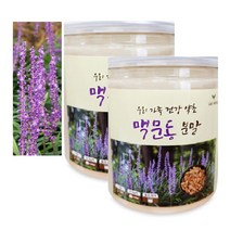 맥문동효능 국내산 맥문동 뿌리 가루 먹는법 200g 2통