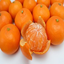 극조생감귤 제주감귤 감귤 조생귤 2.5KG 4.5KG 노지극조생감귤 비가림귤, 꼬마과