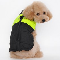 댕댕이 구스 오리 털 옷 겨울 방한복 2XL 3XL 4XL, 레드