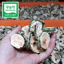 우리농원 무농약 국산 햇건여주, 1팩, 건여주 400g