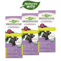 [2+1] 네이쳐스웨이 삼부커스 엘더베리 시럽 120ml Sambucus
