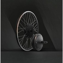 자전거 24 26 클래식 일본 22 인치 옛날 전기 자전거 변환 키트 4V1000W 후면 카세트 허브 모터 휠 20 24, 01 48V LCD3 SET_05 28