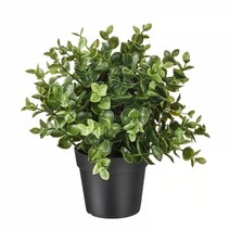 이케아 FEJKA 페이카 인조식물 오레가노 9cm 603.751.66, Artificial plants