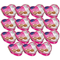 비타크래프트 성묘용 포에시 하트캔 고양이 주식 파우치, 치킨 + 칠면조, 85g, 15개