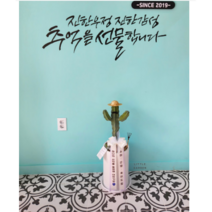 용신목 만세선인장, 탁상용(40~50cm), 1개