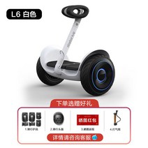 왕발통 전동 외발 휠보드 대리기사 호버 보드 트레일러 킥보드 휠, 프리미엄 화이트