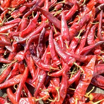23년 해풍과 태양에 말린 태양초/세척 햇건고추 600g/3kg/6kg, 태양초(꼭지있음) 5근 3kg, 1개