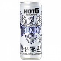 핫식스 롯데핫식스더킹포스330ml X 48개, 335ml