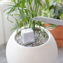 긱프렌즈 IoT 자동 식물 물주기 알림 플랜드투 화분 식물습도계, 브라운
