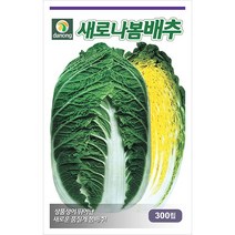 밀크티쓸 흰무니 엉겅퀴 2g - 씨 씨앗 밀크씨슬 엉겅퀴씨앗 나물 나물씨앗 채소씨 채소씨앗 흰무니엉겅퀴, 08_다농_새로나 봄배추(300립)