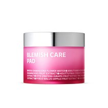 아이소이 블레미쉬 케어 패드(잡티패드) (110g 60매), BR287