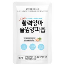재구매율 높은 솔잎양파활즙 100ml, 솔잎양파즙 200팩