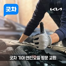 굿차 출장 엔진오일 교환 기아 - K9, 제조사 순정 오일, K9 5.0 가솔린 (12-17년), 1개