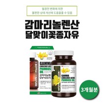미국 직수입 여성 월경 전 호르몬 피부 콜레스테롤 개선 완화 달맞이 기름 1일 권장량 100% 감마리놀렌산 영양제, 1BOX(3개월분)