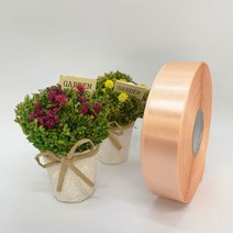 포장 리본 끈 제이제이리본 고밀도주자 20mm 25mm 76컬러 (길이 45M) 공단리본, 조갯살