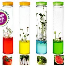 야채 씨앗키우기 과학실험 미니 식물원 2개 유아장난감, 03.오이