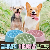 강아지 급체방지 그릇 슬로우식기 반려견 밥 그릇 건강한 식습관, 그린_슬로우식기