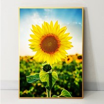 화색갤러리 풍수 인테리어 23 해바라기그림 액자 프리미엄 캔버스천으로 인화, 블랙무광