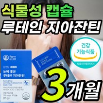 식물성 캡슐 루테인 지아잔틴 루태인 뉴테인 누태인 류태인 루테린 황반색소밀도 포도씨유 빌베리 눈에 좋은 침침한 흐릿한 답답한 눈 노화 건강 보호 도움 영양제 추천 + 알 약 케이스, 1개, 3개월