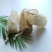 친환경 천연 식물 수세미 2P / 주방용 설거지 다용도