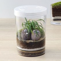 이끼 애란 테라리움 만들기 DIY 키트, 추가옵션:밴치커플