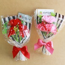 [잼잼아트] 카네이션 꽃다발, 분홍색