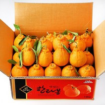 [오늘출발] 장보남 제주 한라봉 9kg 실중량 (중~대과 크기) /우체국택배, 1박스, 한라봉 중과 9kg(41-50과)