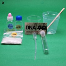 DNA추출만들기 10인세트, 상세페이지 참조, 상세페이지 참조, 상세페이지 참조