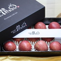 직거래농민장터 프리미엄 사과 명절 선물세트, 프리미엄 사과선물세트 5kg 16-17