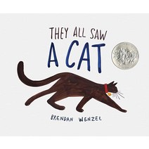 They All Saw a Cat (Brendan Wenzel) [Hardcover]