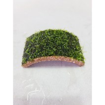 새우오작교/동굴/프리미엄 모스활착 [체리새우/crs새우/생이새우키우기] 애완관상용새우놀이터, 8x5고인돌세트+프리미엄모스 활착