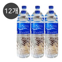 생수 2리터 X 12개 수워터 먹는샘물 대용량 물배달, 2L