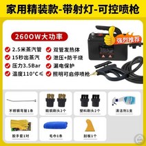 스팀해빙기 고온 동파방지 청소기 기름때 언수도 입주청소, 2600W-가정용스프레이건양장식-
