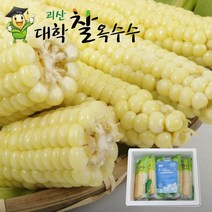 [찰지고 맛있는]햇괴산대학찰옥수수/생물 냉동2가지, 15개/특품 찐냉동 햇찰옥수수