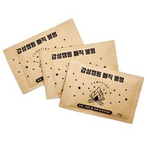 캠핑 불멍 가루 오로라 불빛 25g, 1개
