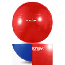 마사지 짐볼 65cm 임산부 짐볼 운동법 보수볼 밸런스 발란스 요가 필라테스 짐볼사이즈 65cm, 보라