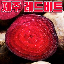 제주 레드비트 비트 빨간무, 3kg