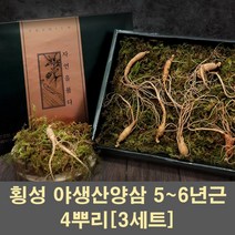 경성건강원 산양삼 산양산삼 자연산양삼 야생산양산삼 장뇌삼 5년근 6년근 4뿌리 산삼 뿌리 먹는법 효능 천연 사포닌 무농약 선물 명절 부모님, 3세트