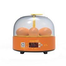 온도조절 병아리키우기 관상용닭 부화기 메추리 부화통 병아리분양 사육장 병아리, I