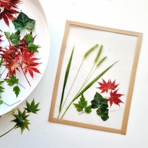 스테이앳홈 크리에이터스 투명액자 5개세트 - 아크릴액자 대신 DIY 셀프 액자 만들기